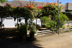 DSC08345