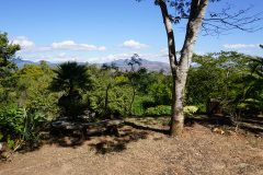 DSC08348