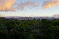 DSC08556
