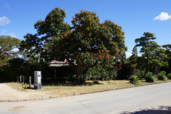 DSC08380