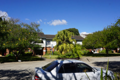 DSC08389
