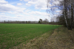 DSC00471