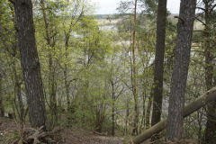 DSC00618