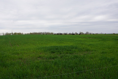 DSC00632